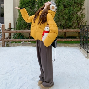 韩系橙色立领羽绒服女冬2025新款超火好看高级小众保暖加厚短外套图片