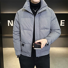 标50绒店主风男士立领暗花羽绒服保暖外套810-P195(控券后288)，男装羽绒服，电商B328