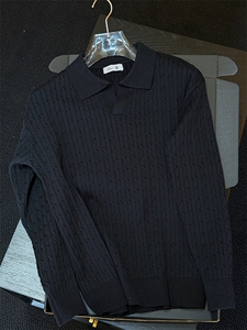 高级感男秋冬毛衣针织polo打底衫莱赛尔 D1201-P85图片