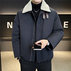 新标95绒羽绒服男冬季2025新款可拆卸毛领外套A313-85490-P295，男装羽绒服，电商A313