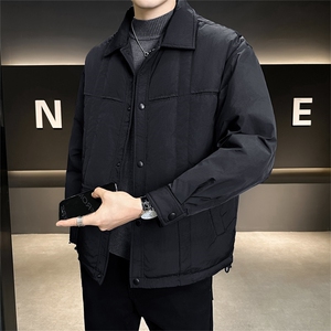 标90白鸭绒 店主风高级感翻领轻奢休闲羽绒服外套M629-P285图片