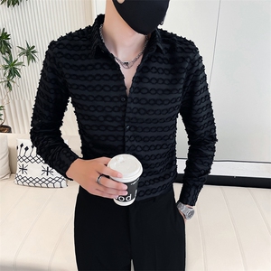 2024男士秋季新款韩版修身长袖衬衫男工艺款衬衣301A-1/H502/P55图片