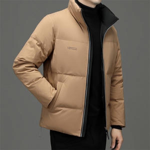 2023年新款羽绒服P220图片