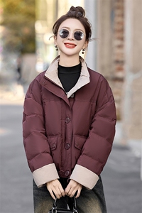 时尚拼色立领短款羽绒服女2025冬季小个子超好看面包服白鸭绒外套图片