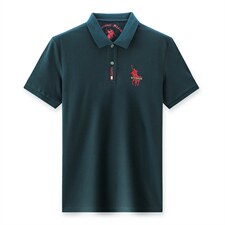 2023年夏季新款中年男士宽松短袖上衣翻领时尚潮流中年百搭T恤衫，男装T恤，电商B212（原钱塘6029）