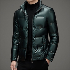 DAJ6221钱塘2020-2冬季新款百搭时尚休闲中年男士羽绒服P185，男装羽绒服，钱塘207-2