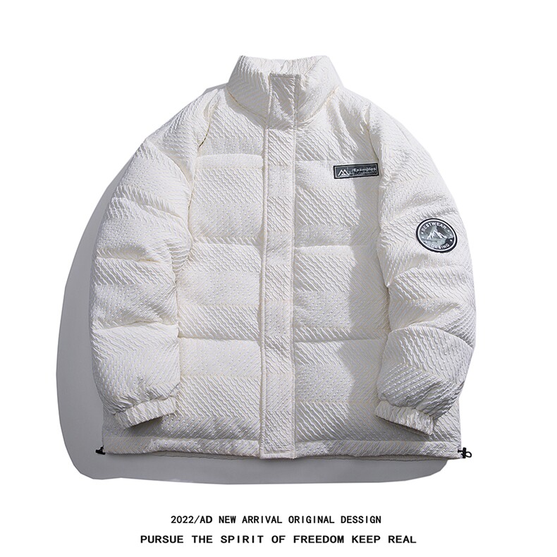 白底22冬季新款特殊材质贴标设计感纯色立领羽绒服YR201P245控298,男装羽绒服,电商A247-1