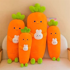仿真胡萝卜小抱枕送小朋友到手十个