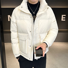 2025冬季新款立领羽绒服保暖防寒时尚潮流大口袋保暖YR8023-P185，男装羽绒服，电商A413