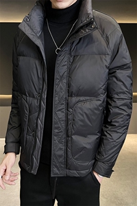 冬季短款立领羽绒服男 日系面包服保暖外套Y106-P140图片