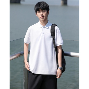 P02短袖男夏季新款纯色潮流半袖上衣休闲透气高级翻领polo衫T恤衫图片