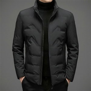 2023冬季休闲男士羽绒服青年男装加厚保暖90%白鸭绒ZL6107-P195图片