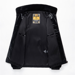 高端新款立领拼接金貂绒亮面白鸭绒羽绒服外套男潮流休闲夹克图片
