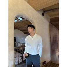 雅致格调’极简老钱风羊毛混纺休闲海鸥领针织衫长袖1178/P68，男装针织衫/毛衣，电商A243