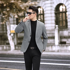 新款男士小西装青年修身秋季休闲西服2382P165，男装西服，电商D225