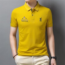 男士翻领短袖t恤2023夏季新款男士休闲时尚短袖T恤上衣保罗衫男装，男装T恤，电商B212（原钱塘6029）