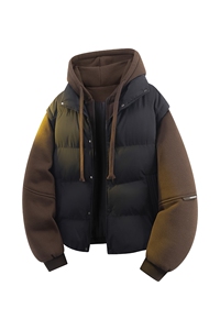 立体新款冬季羽绒棉服棉袄连帽假两件韩版宽松外套A436-2511-P85图片