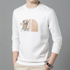 2023年新款潮流时尚加厚男士卫衣，男装卫衣，电商D223-1