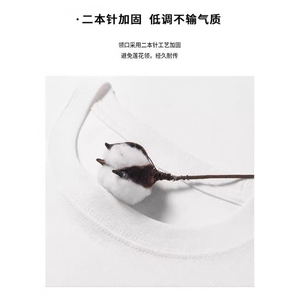 1506-1/TN551/P30 美式简约短袖男设计感小众潮牌休闲百搭上衣图片
