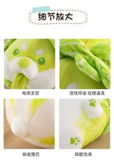 蔬菜精灵白菜狗
