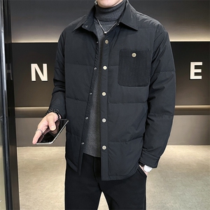 有报告 新标90绒 轻薄款冬季男士羽绒服 A313-Y135560-P215图片