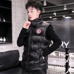 冬季加厚保暖羽绒棉坎肩棉马甲马褂无袖背心立领棉衣银色M9101P55图片