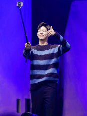 2025年秋季长袖青春流行圆领套头，男装羊毛衫，圣强羊绒