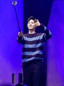 2025年秋季长袖青春流行圆领套头，男装羊毛衫，圣强羊绒