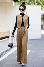 高级感职业阔腿裤套装女2025秋季新款休闲时尚今年流行马甲三件套，女装套装/套裙，尚娜萱