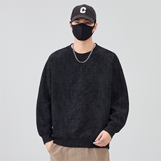 数据款2025秋季新款圆领套头男款卫衣B250-WY988020-P65，男装卫衣，电商B240
