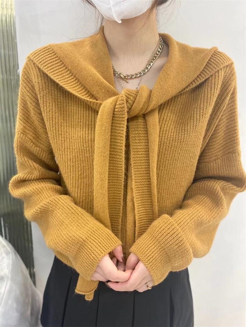 【现货】2021秋冬档口休闲带帽毛衣针织衫,针织衫/毛衣,HuHu