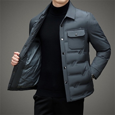 V2122钱塘2020-3秋冬新款男士翻领羽绒服保暖商务休闲外套P185，男装羽绒服，钱塘207-3