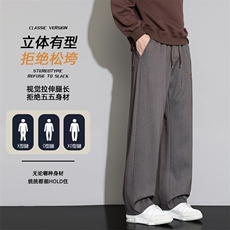 休闲裤子男士秋季2025新款宽松直筒卫裤百搭阔腿长裤Z6915-P40，男装休闲裤，星座610（原A335）