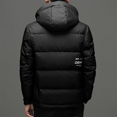 男装90%羽绒服保暖2023冬季青年时尚加厚休闲外套JZB2216-P275，男装羽绒服，星座1105-3