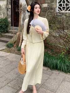 清冷感新中式国风套装裙女2025春新款高级感简约气质半身裙两件套图片