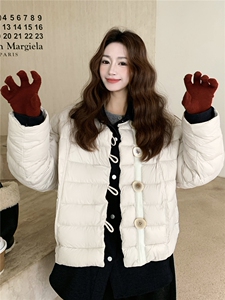 气质百搭小众简约风翻领羽绒服女冬2025新款洋气休闲轻薄保暖外套图片