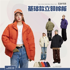2025冬款纯色立领棉服--5215模特图，男装棉衣，电商S012（CATTEE）