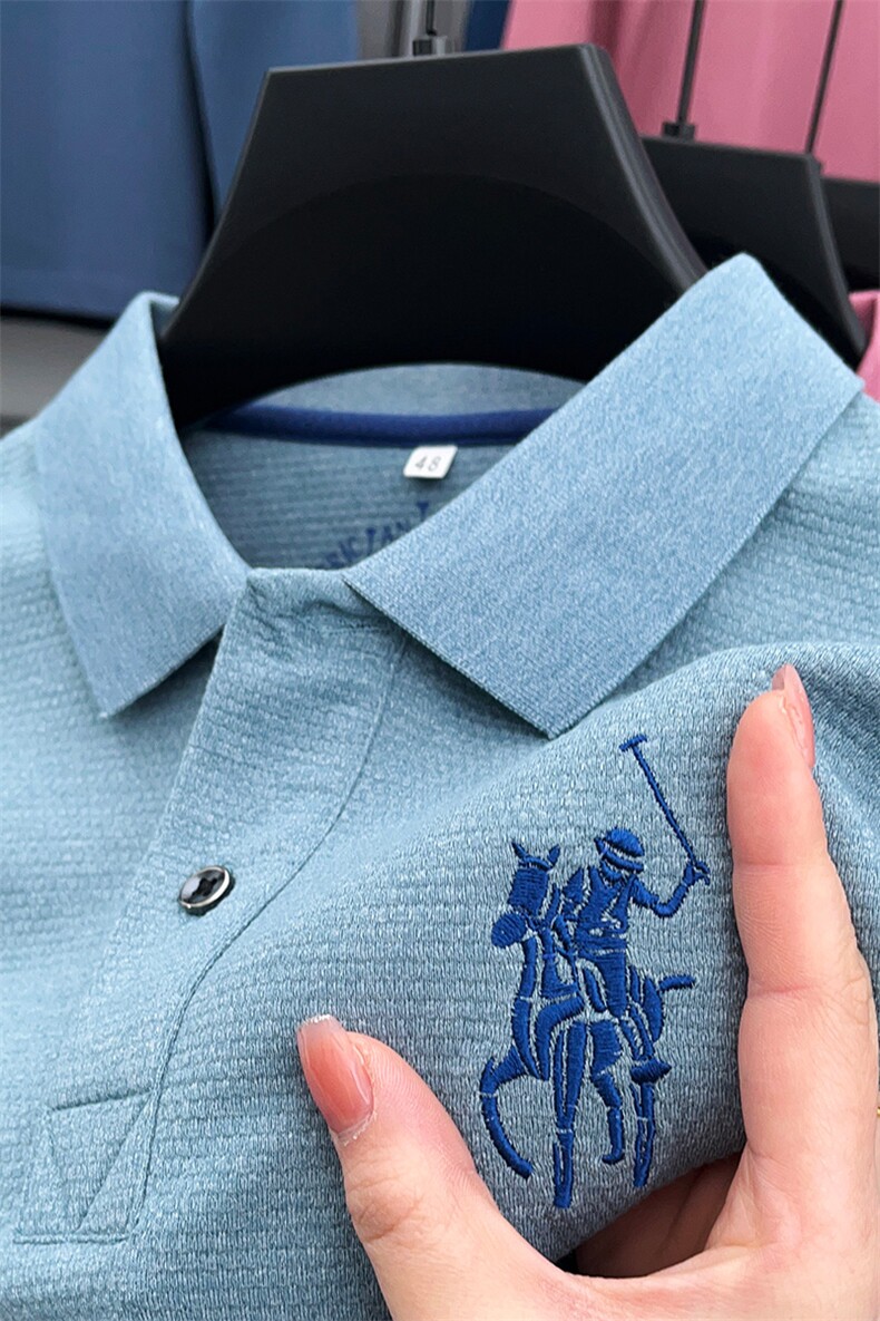 时尚男士Polo衫2023春秋季新款宽松休闲爸爸装长袖t恤男商务上衣T,男装Polo衫,电商B212（原钱塘6029）
