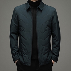 中年男士冬季宽松休闲翻领棉袄厚款羽绒棉服外套SNNMF82276-P205，男装棉衣，电商B212（原钱塘6029）