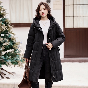 2025年冬季长款90白鸭绒羽绒服女图片
