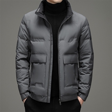 羽绒服冬季男短款立领休闲中青年男士冬装外套DFLDY8005-P255，男装羽绒服，电商B212（原钱塘6029）