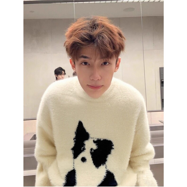 套头小猫圆领毛衣男款秋冬季宽松型新款休闲MY5159-P56,男装针织衫/毛衣,星座208-5