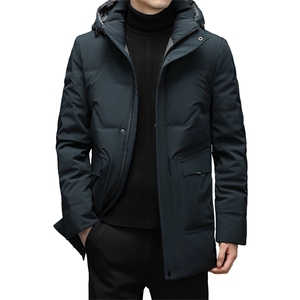 S803钱塘2020-2中年男士冬季厚款连帽商务休闲简约羽绒服P293图片