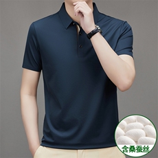 无痕短袖T恤男翻领纯色上衣爸爸夏装新款中年男士休闲半袖Polo衫，男装T恤，电商B212（原钱塘6029）
