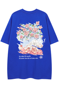 白底23夏季时尚百搭复古宽松圆领克莱因蓝短袖T恤T6096P25控38图片