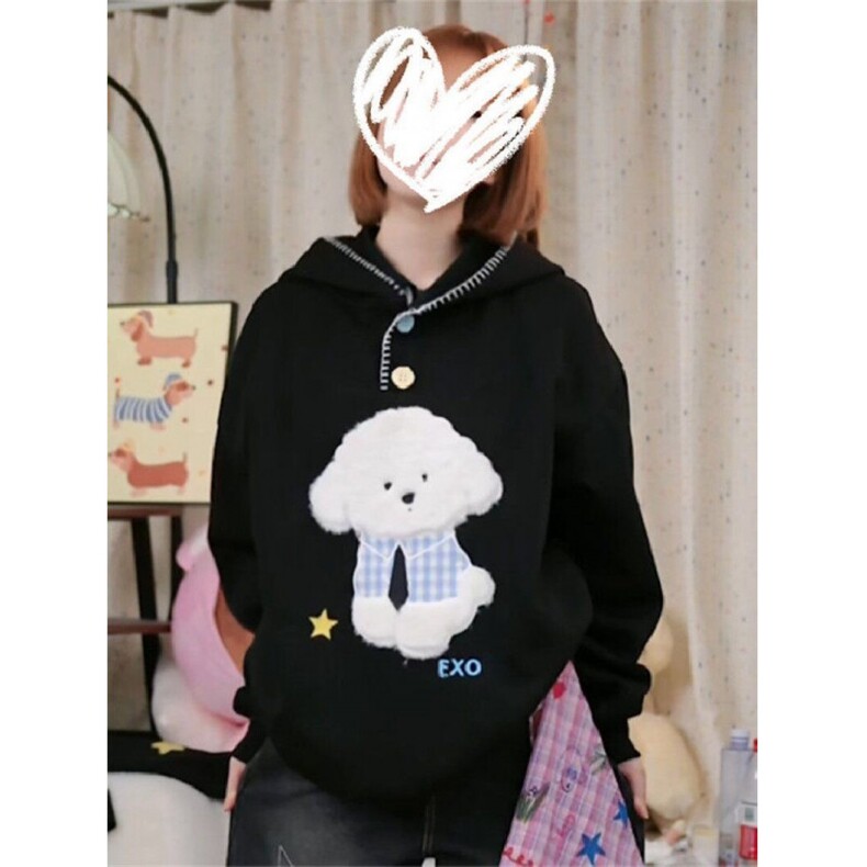 小狗刺绣加绒卫衣男女连帽秋冬加厚宽松慵懒风外套WY9028 P55-58图片