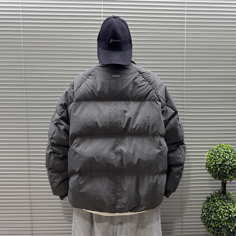 2025新标90白鸭绒冬季男立领高品质时尚羽绒服301-P270,男装羽绒服,钱塘708(原3018)