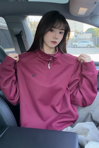 秋冬男士美式半拉链立领运动卫衣男女潮牌秋季情侣外套Polo衫p55图片