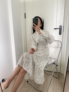 春季新款法式刺绣印花连衣裙图片