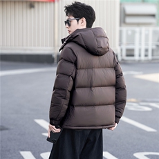 标90白鸭绒连帽加厚品牌款男装羽绒服冬季外套C317-Y686-P385，男装羽绒服，电商C317